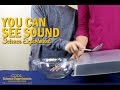 Sound Experiment with Rice and Tin