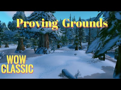 WoW Classic/Proving Grounds quest in Alterac Valley...