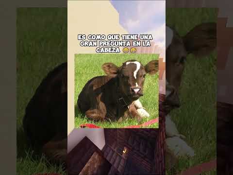 Animales que fueron pintados por la naturaleza ?? #minecraft