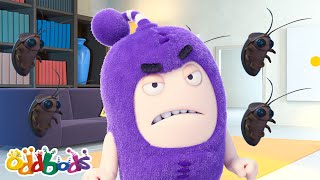 La Cucaracha | Oddbods - Comedy Chaos | Cartoons for Kids