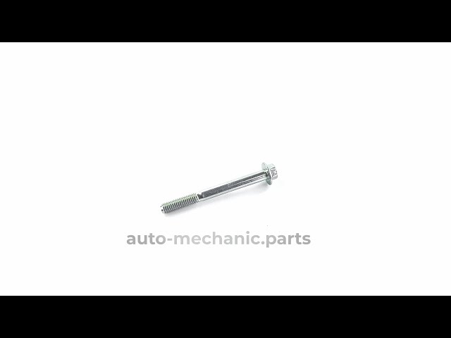 Болт кріплення розподільного валу Renault Trafic/Master 2.2/2.5dCi 00-, відео - інтерент-магазин Auto-Mechanic