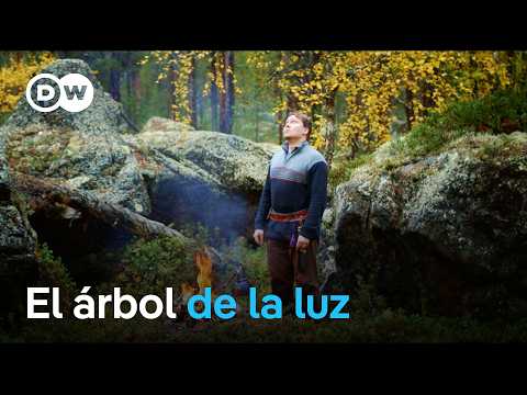 El abedul, el árbol sagrado de la taiga | DW Documental
