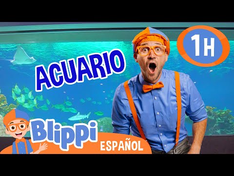 Blippi vista un acuario 🐟 | Blippi Español | Videos educativos para niños | Aprende y Juega