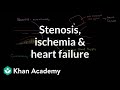 Understanding Heart Disease and Related Terms