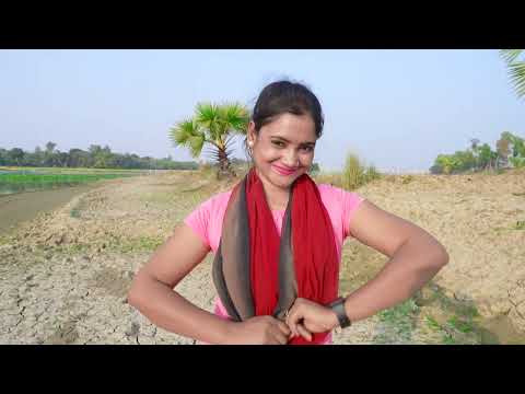 New Year Top  Comedy Video Amazing Funny Video 😂 Try To Not Laugh 2025 Episode 304 By Busy Fun Ltd