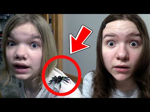 OUR HOUSE KEEPS GETTING INVADED!