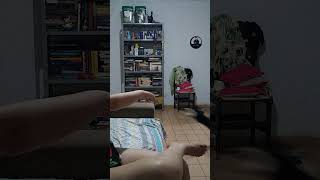 Gato pensa que é Cachorro