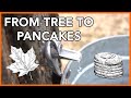 Maple Syrup Production Essentials