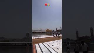 ♥️💗♥️💗♥️💗💗♥️💗♥️💗♥️💗♥️💗♥️💗♥️♥️💗#satnamwaheguru #gururamdasji #shortsfeed