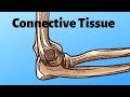 Functions of Connective Tissue