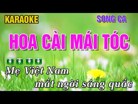 Hoa Cài Mái Tóc Karaoke Song Ca – Beat Chuẩn Nhạc Sống Cha Cha Cha || Trung Hiếu Karaoke