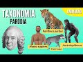 Comprensión del Video Tutorial