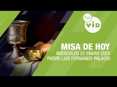 Misa de hoy ⛪ Miércoles 22 Enero de 2025, Padre Luis Fernando Palacio #TeleVID #MisaDeHoy #Misa