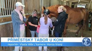 Příměstský tábor u koní v Mostě