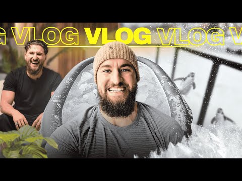 UNE JOURNÉE DANS MA VIE #VLOG