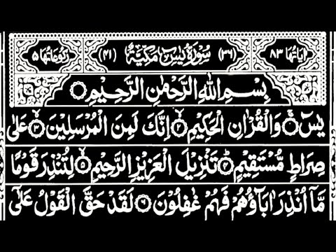 Surah Yaseen Surah Rahman || Quran Recitation l Daily Quran Tilawat | Quran Tilawat l Episode 25