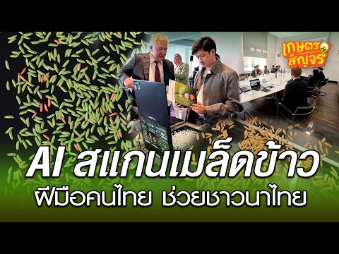 เครื่องสแกนเมล็ดข้าวด้วยAIแยกพันธุ์และตรวจคุณภาพได้ในพริบตาเ