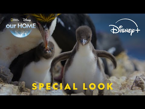 ourHOME Anthem 2025 | National Geographic