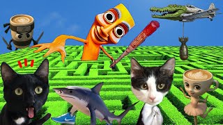LABERINTO DE ITALIAN BRAINROT VS GATOS YOUTUBERS / Canción de Tralalero Tralala