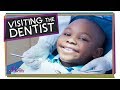 Dental Health and Hygiene Knowledge