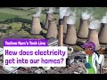 Understanding Electricity Transmission