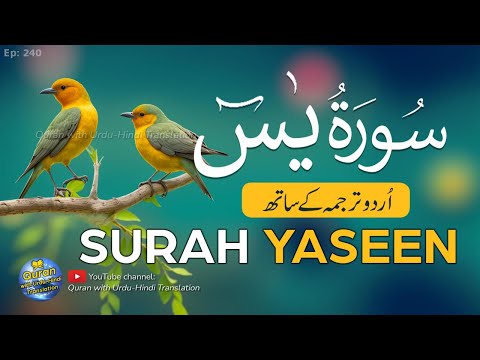 Yaseen sharif ki tilawat tarjuma ke sath | Tilawat yasin | Episode 240 | Quran with Urdu Translation