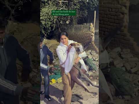 Bache ko koi mar ke bhaag gaya To donate link in bio#love #reels #dog #shorts
