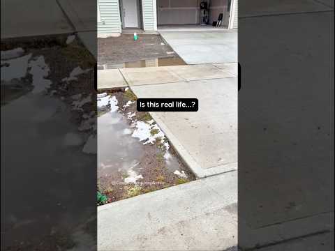 Driveway Fail… 😭