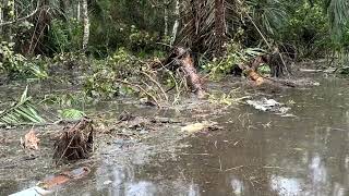 YouTube video thumbnail:  Nigerian Military Plane Crash Kills 32 
