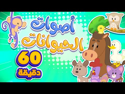 اغنية أصوات الحيوانات و ساعة من اغاني الاطفال | قناة مرح كي جي - Marah KG