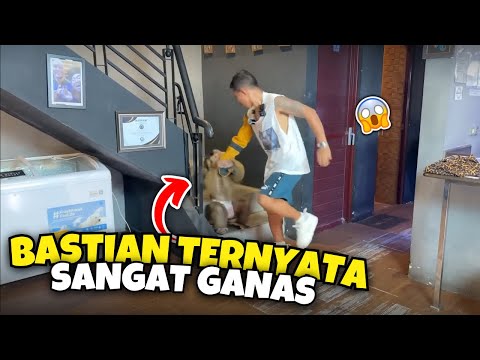 BASTIANNYA HAFISH TERNYATA GALAK BANGET ‼️ TANGAN SHINE DIGIGIT