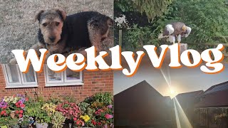 WEEKLY VLOG 🦅 A Visit to Hawk Conservancy, Eclipse & Max Time | Family Days Out AD @dossierperfumes 