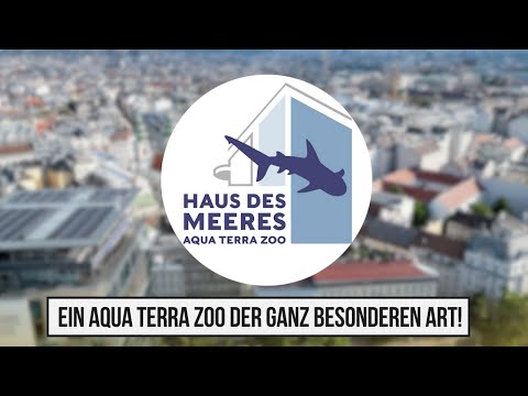 Haus des Meeres in Wien  | Ein Aqua Terra Zoo der ganz besonderen Art!