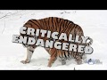Endangered Species and Conservation Facts