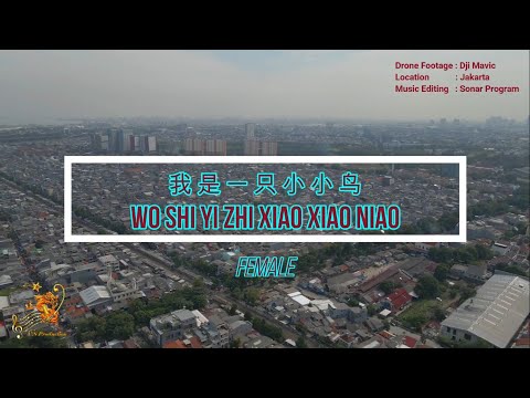 Wo She Yi Zhi Xiao Xiao Niao ( 我是一只小小鸟 ) For Female – Karaoke mandarin with drone view