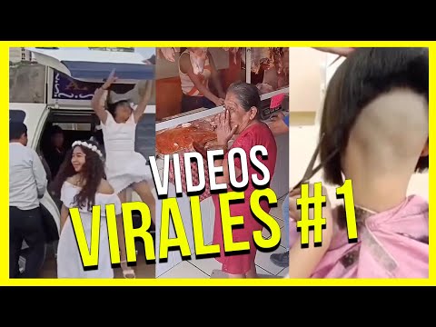 MIRA LOS VIRALES #1