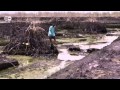 Niger Delta Environmental Issues