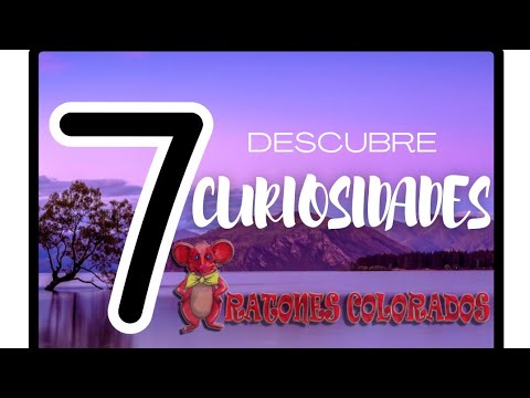 7 Curiosidades para peques y mayores V2