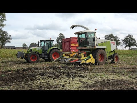 Mais hakselen met Claas Jaguar 860 door loonbedrijf Mollink (2024)