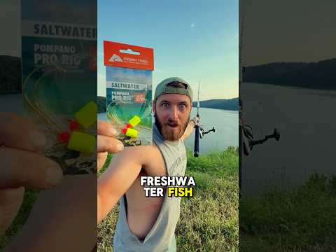 Using my Saltwater Rig on Freshwater Fish 🎣😂 #shorts #fishing