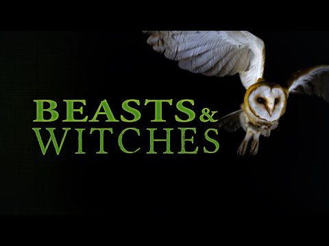 Beasts & Witches: The Secrets of the Farm #animals #folklore #stories #4k