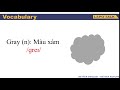 Understanding Vocabulary from Video