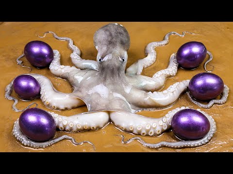 Stop Motion ASMR - Giant Underground Octopus Eats Eel Trap Primitive Experiment Cooking