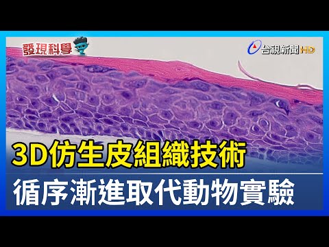 3D仿生皮組織技術 循序漸進取代動物實驗【發現科學】 - YouTube