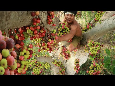 Rich Figs Fruits