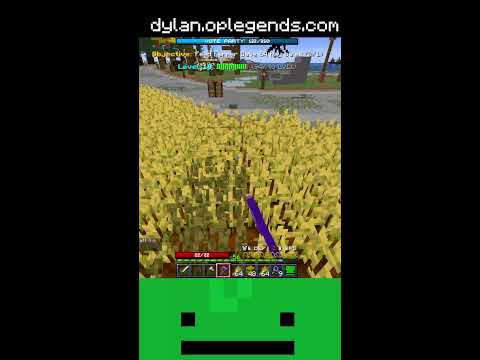 24 HOUR SKYBLOCK - dylan.oplegends.com