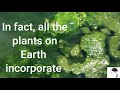 Oxygen Production and Its History