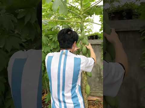 Ketemu Messi 😱