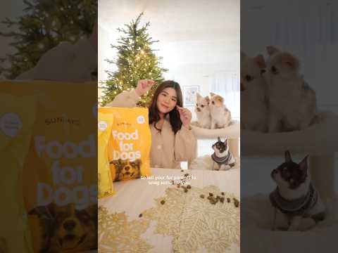 Happy Sunday 💛 Last doggo food refill of the year ✨ FULL VIDEO