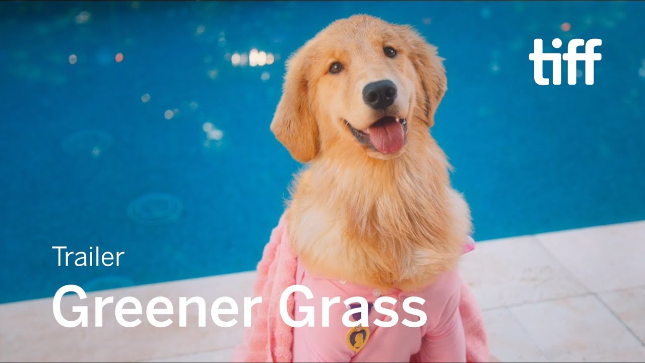 Greener Grass Trailer thumbnail